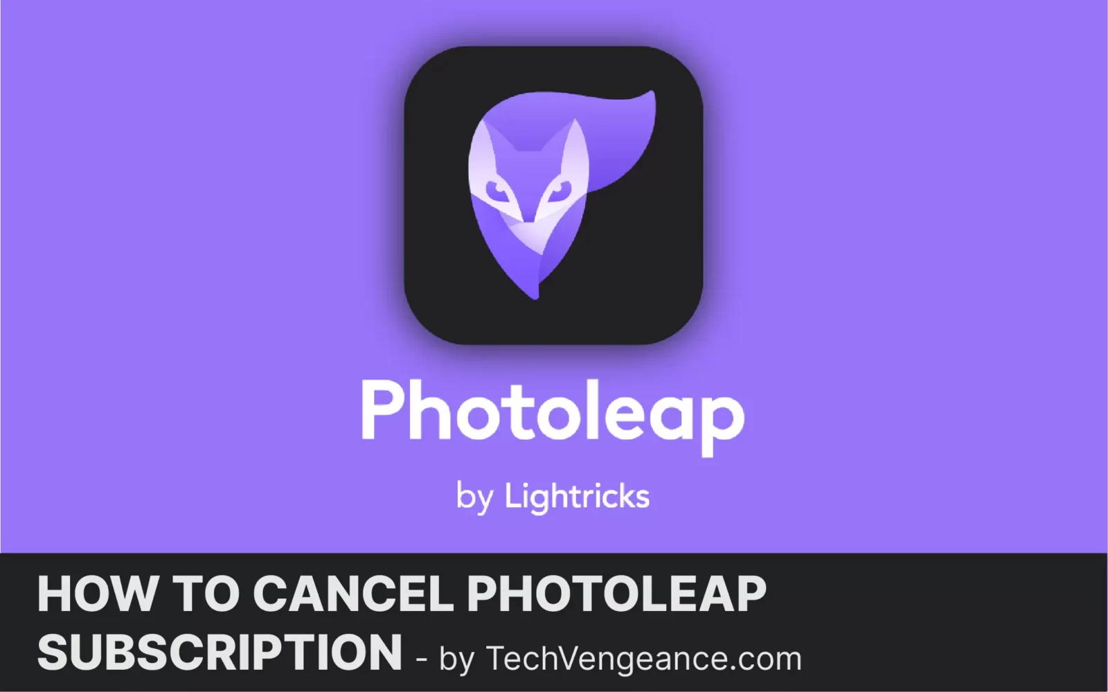 How To Cancel Photoleap Subscription