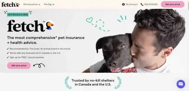 How To Cancel Fetch Pet Insurance?